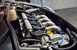 DSC_6871 (1)